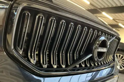 Chrome delete grill